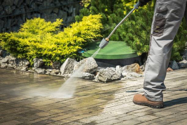 Best Driveway Pressure Washing  in Strawberry Point, IA