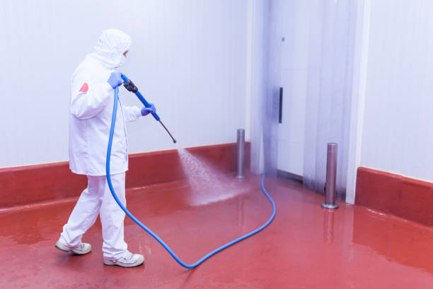 Best Concrete Sealing  in Strawberry Point, IA