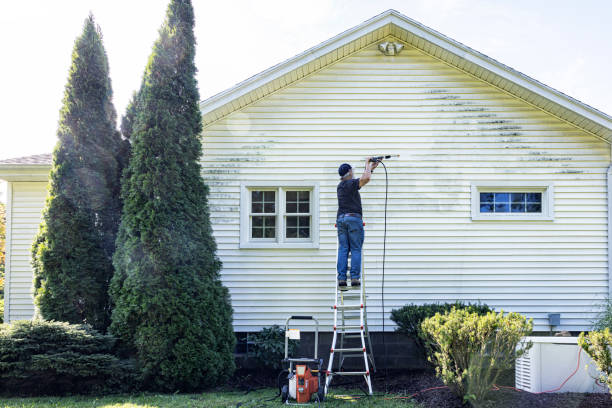 Best Solar Panel Cleaning  in Strawberry Point, IA
